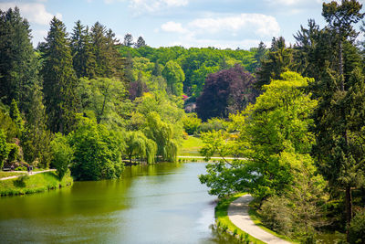 Scenic view of river amidst trees in forest against sky