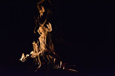 Close-up of bonfire against black background