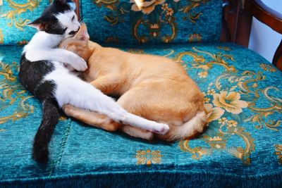 Cat sleeping on bed at home