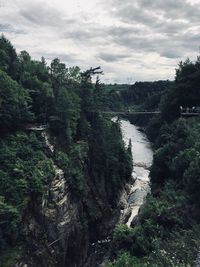 Scenic view of river in forest against sky