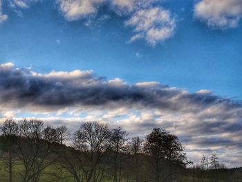Low angle view of silhouette trees against sky