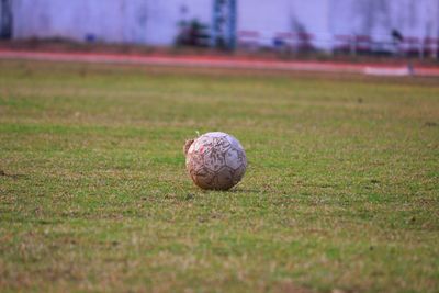 Close-up of ball on field