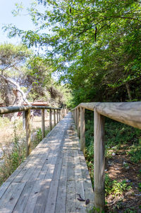 View of wooden footbridge in forest