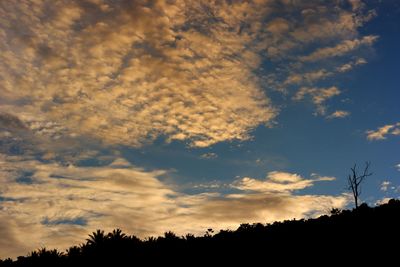 Low angle view of silhouette trees against sky during sunset