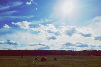 Scenic view of grassy field against sky