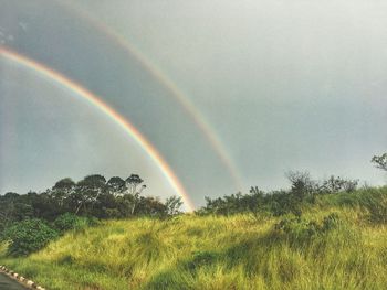 Scenic view of rainbow over trees on field against sky