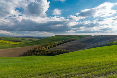 Scenic view of agricultural field against sky