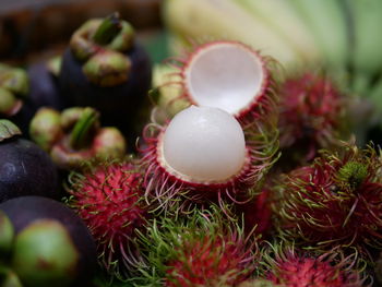 Close-up of christmas decorations