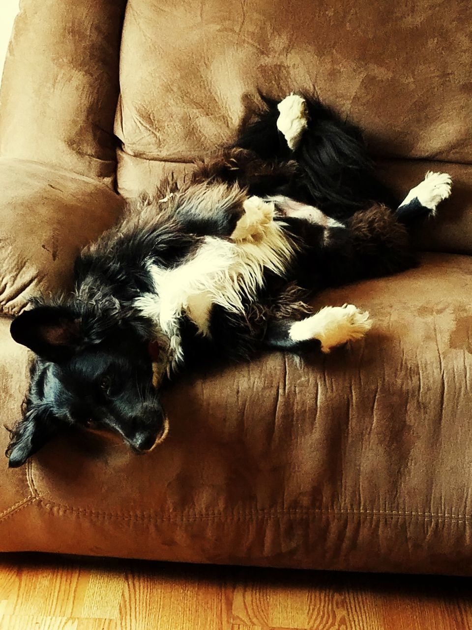 HIGH ANGLE VIEW OF CAT SLEEPING AT HOME