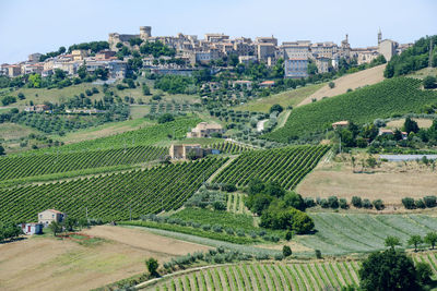 High angle view of agricultural field against sky