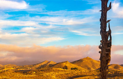 Weathered beam of a former mining derrick with mountains in the background, mazarron, spain