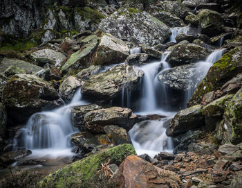 Scenic view of waterfall in forest