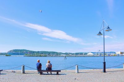 Rear view of people sitting on sea against sky