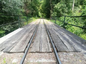 Railroad track amidst trees in forest