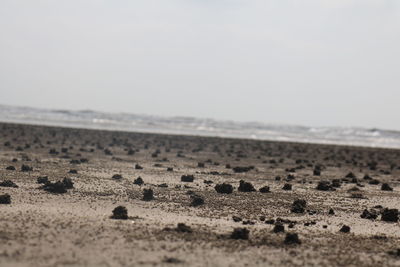 Close-up of sand on beach against clear sky