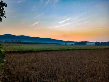 Scenic view of field against sky during sunset