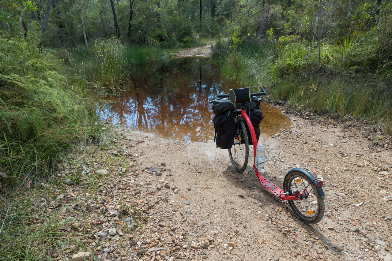 transportation, lifestyles, mode of transport, leisure activity, water, men, full length, tree, rear view, bicycle, forest, river, nature, travel, tranquility, lake, casual clothing, day