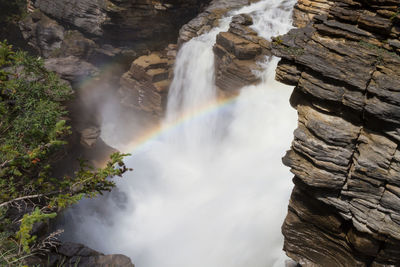 Scenic view of waterfall in forest