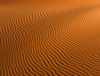 Full frame shot of sand dunes at desert during sunset