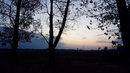 Silhouette trees on landscape against sky