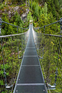 View of bridge in forest