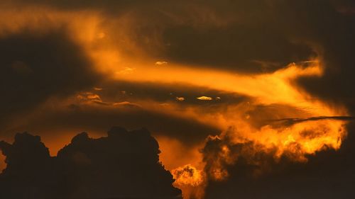 Silhouette of trees against dramatic sky