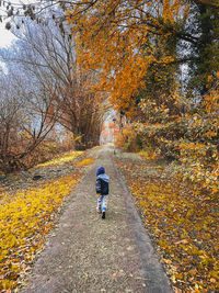 Rear view of man on road amidst autumn trees