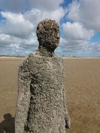 Rear view of man standing on beach against sky