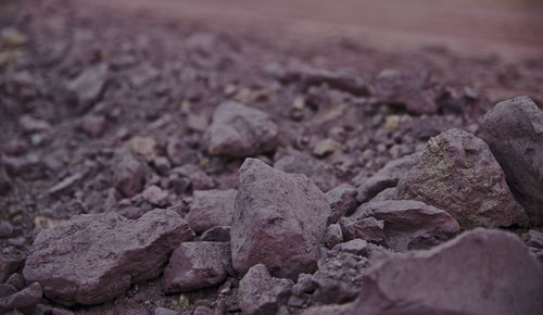 High angle view of purple stones on rock