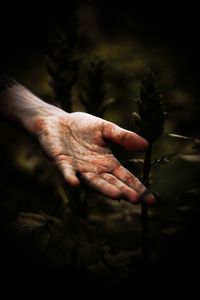 Cropped image of dirty hand touching plants