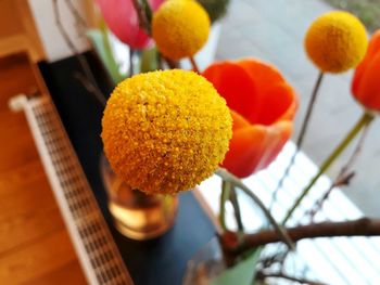 Close-up of fresh orange fruits on table