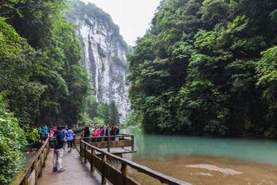 Scenic view of waterfall