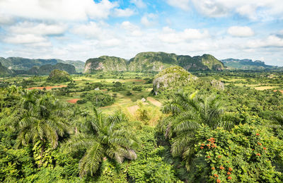 Scenic view of trees and mountains against sky