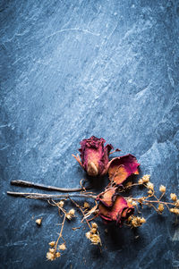 Close-up of dried roses on slate