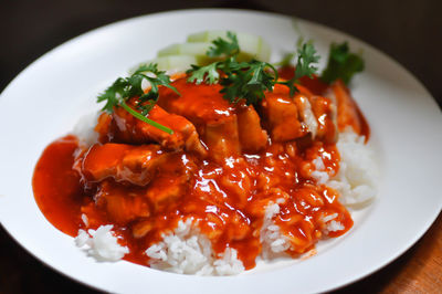 Close-up of meal served in plate