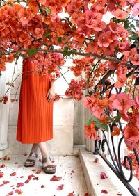 Low section of woman standing by red flowering plants