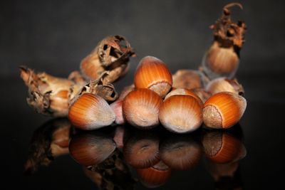 High angle view of shells on table