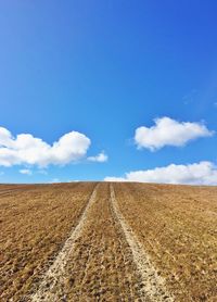 Scenic view of field in a sunny day