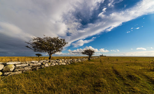 Trees on field against cloudy sky