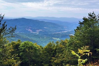 Scenic view of trees and mountains against sky