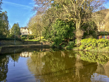 Scenic view of lake by trees against sky