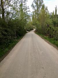 Empty road along trees in forest