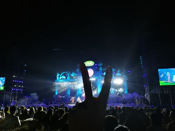 Crowd at music concert at night