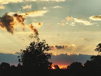 Silhouette trees against sky during sunset