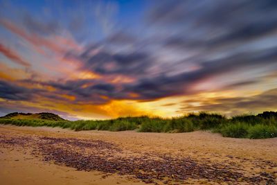 Scenic view of field against cloudy sky during sunset