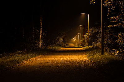 Road amidst trees at night