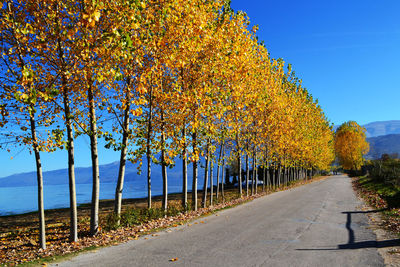 Empty road by yellow trees against sky on sunny day