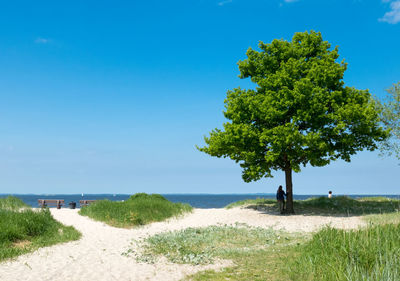 Scenic view of sea against clear blue sky