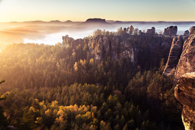 High angle view of trees on landscape against sky