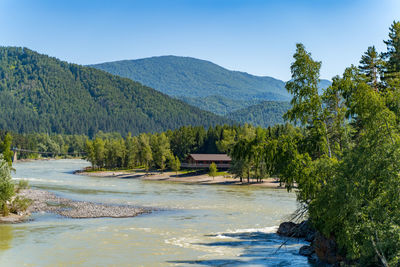 Katun river in the altai territory,